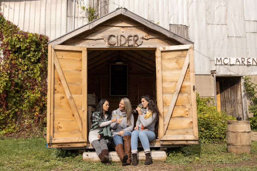 Friends cheers their cider at Grey & Gold Cidery on the Apple Pie Trail.