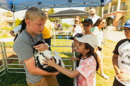 Barnyard Bonanza