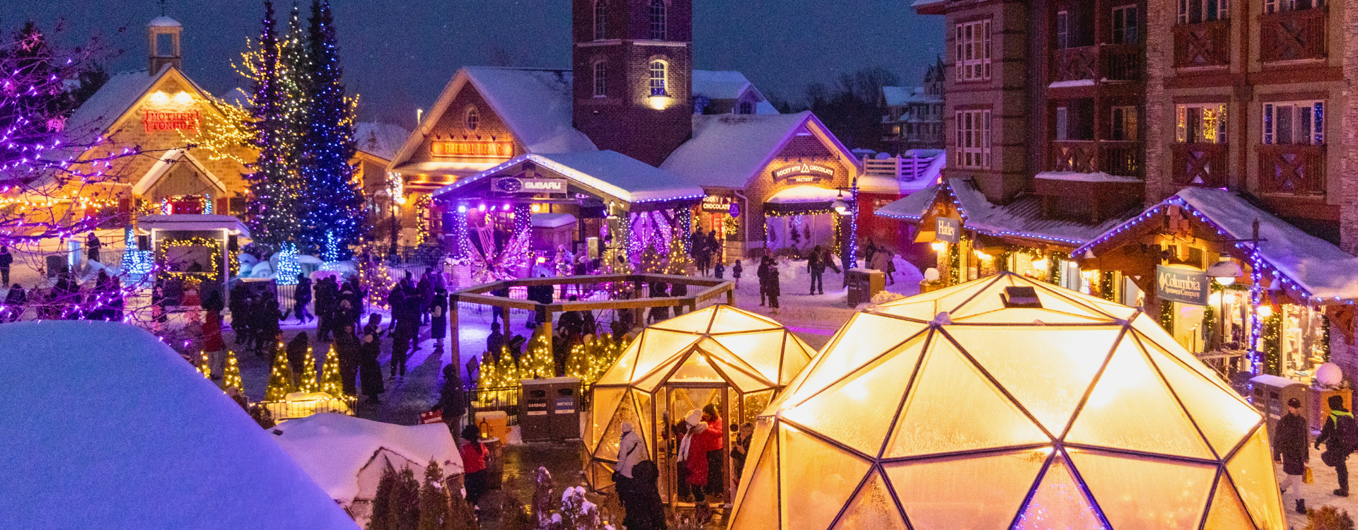 Holiday Magic experience showcasing Snowdome Cocktail Garden, Light Trail, and Live Music in the Events Plaza