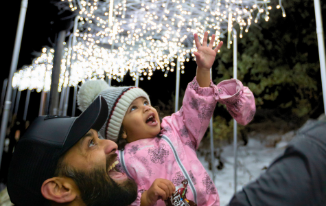 Experiences Our Holiday Village, Adorned with Décor, Twinkling Lights and Interactive Installations