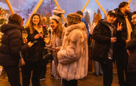 Sip and savour festive treats under the twinkling lights of our Snowdome Cocktail Garden.