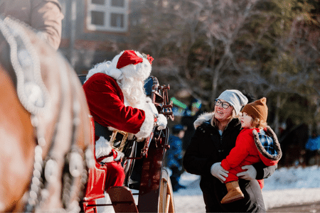 Santa Sightings on Horse and Carriage