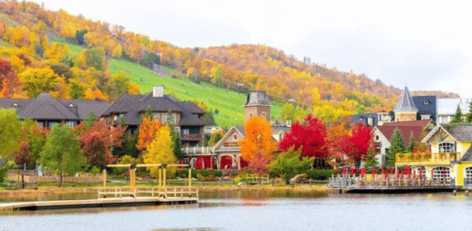 Fall Adventures Image