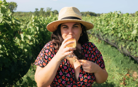 Eat, Drink, and Explore your way along the Niagara Escarpment on the Apple Pie Trail